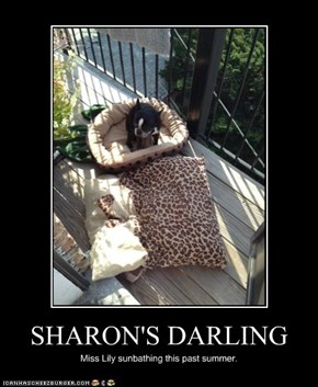 SHARON'S DARLING