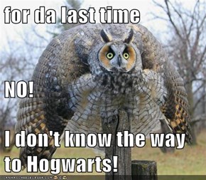 for da last time NO! I don't know the way to Hogwarts!