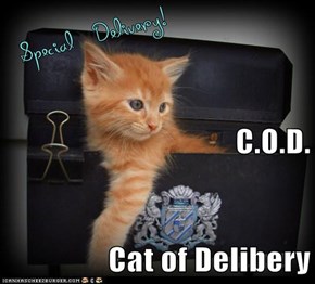 C.O.D. Cat of Delibery