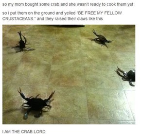 Lord of the Crabs