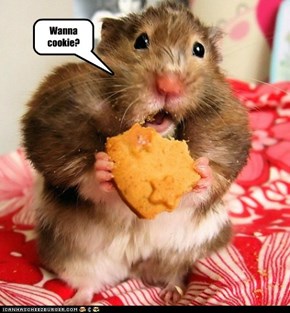 Wanna cookie?