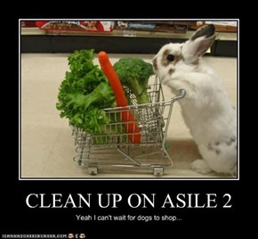 CLEAN UP ON ASILE 2