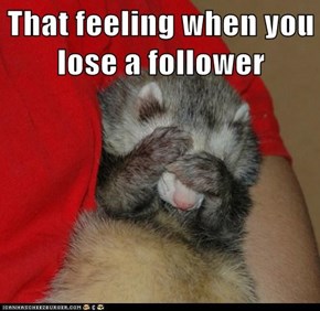 That feeling when you lose a follower
