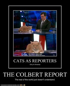 THE COLBERT REPORT