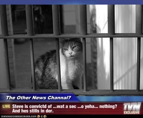 The Other News Channal? - Steve is convictd of ...wat a sec ...o yeha... nothing? And hes stills in der.