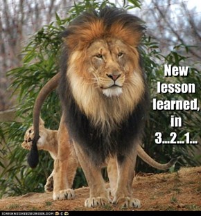 New lesson learned,  in 3...2...1...