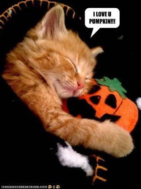 happy halloween!!!