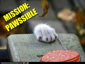 MISSION: PAWSSIBLE