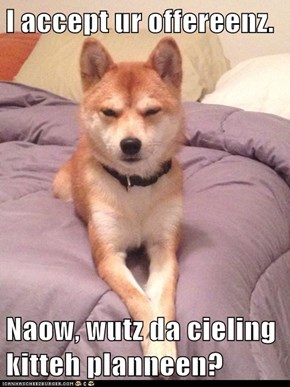 I accept ur offereenz.  Naow, wutz da cieling kitteh planneen?