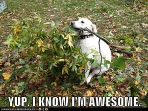 YUP. I KNOW I'M AWESOME.