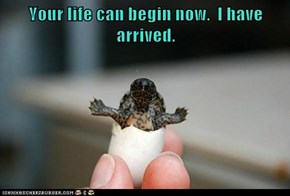 Your life can begin now.  I have arrived.