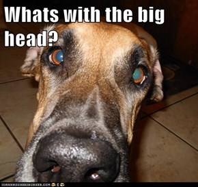 Whats with the big head?