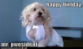 happy birfday,  mr. pwesident