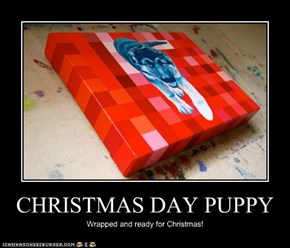 CHRISTMAS DAY PUPPY
