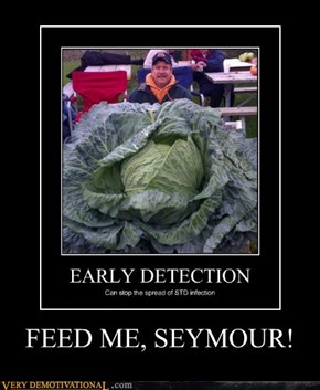 FEED ME, SEYMOUR!