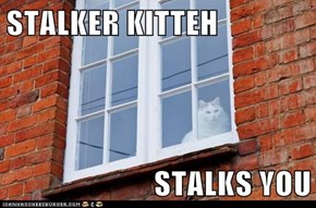 STALKER KITTEH  STALKS YOU