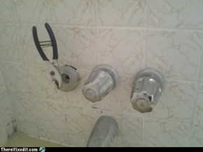 I Should Be a Plumber