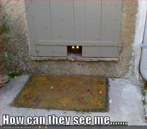 How can they see me.......