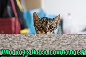 Who picks these countertops?