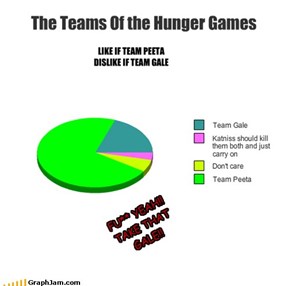 The Teams Of the Hunger Games