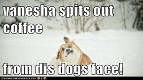 vanesha spits out coffee  from dis dogs face!