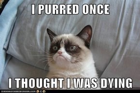 I PURRED ONCE  I THOUGHT I WAS DYING