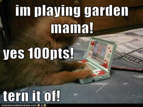 im playing garden mama! yes 100pts! tern it of!