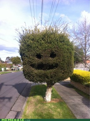 Happy Bush is Sappy