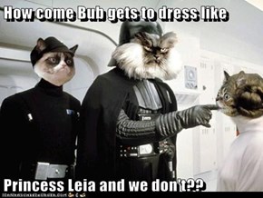 How come Bub gets to dress like   Princess Leia and we don't??