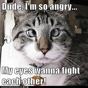 Dude, I'm so angry...  My eyes wanna fight each other!