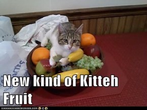 New kind of Kitteh Fruit