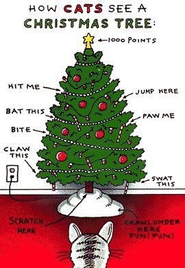 How Cats See a Christmas Tree