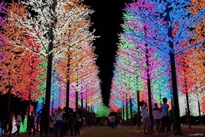 The Lights Are On All Year in Selangor, Malaysia