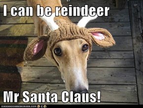 I can be reindeer   Mr Santa Claus!
