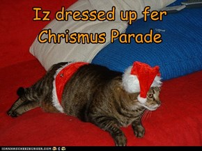 Iz dressed up fer Chrismus Parade