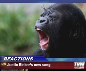 REACTIONS - Justin Bieber's new song