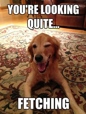 So Fetching! 