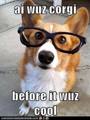 ai wuz corgi  before it wuz cool
