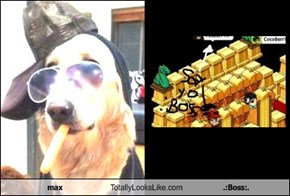 max Totally Looks Like .:Boss:.