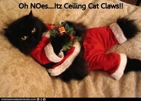 Oh NOes....Itz Ceiling Cat Claws!!