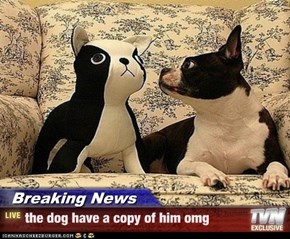 Breaking News - the dog have a copy of him omg