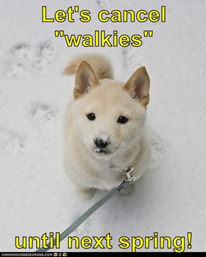 Let's cancel "walkies"  until next spring!