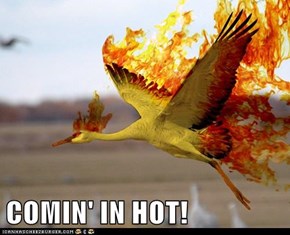 COMIN' IN HOT!