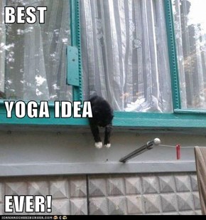 BEST YOGA IDEA EVER!