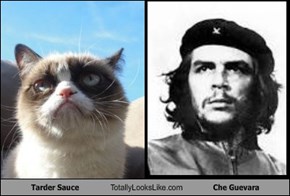 Tarder Sauce Totally Looks Like Che Guevara