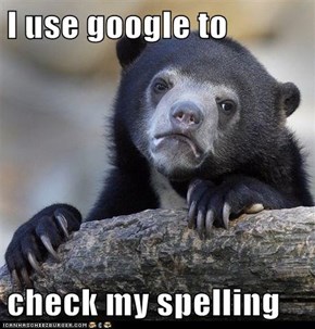 I use google to  check my spelling