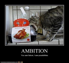 AMBITION