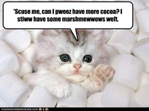 I can has cocoa?