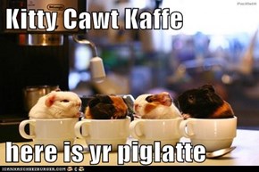 Kitty Cawt Kaffe  here is yr piglatte