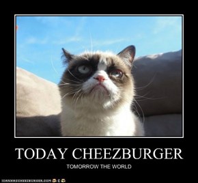 TODAY CHEEZBURGER